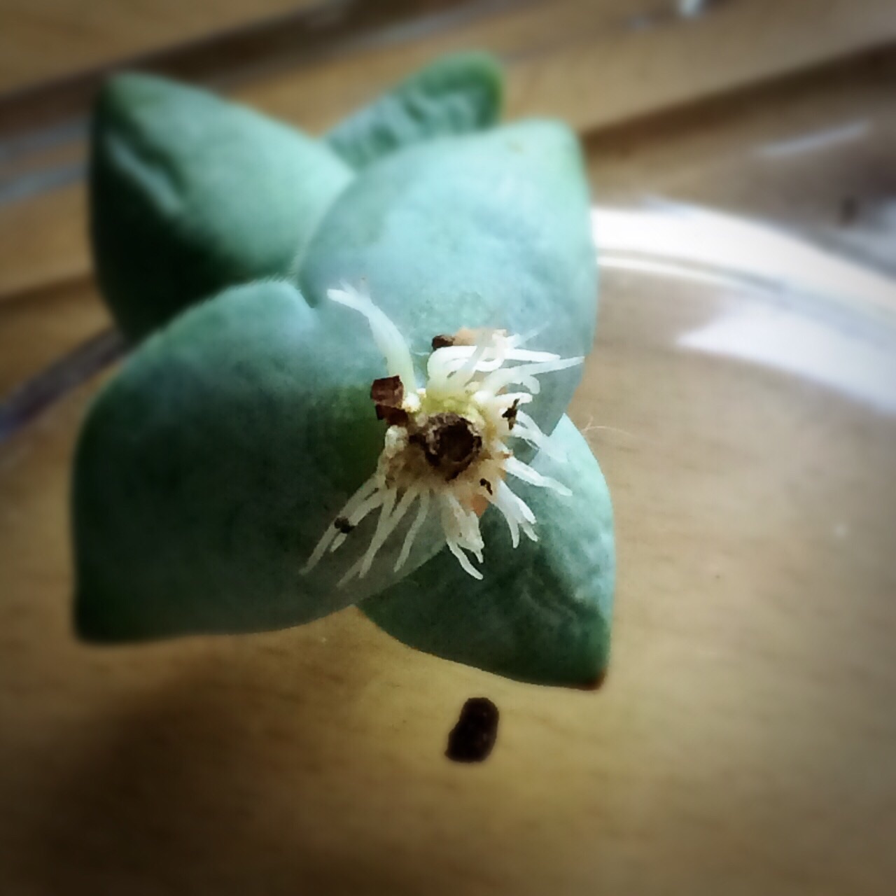 f:id:one00one:20150218075610j:plain f:id:one00one:20150218075610j:plain