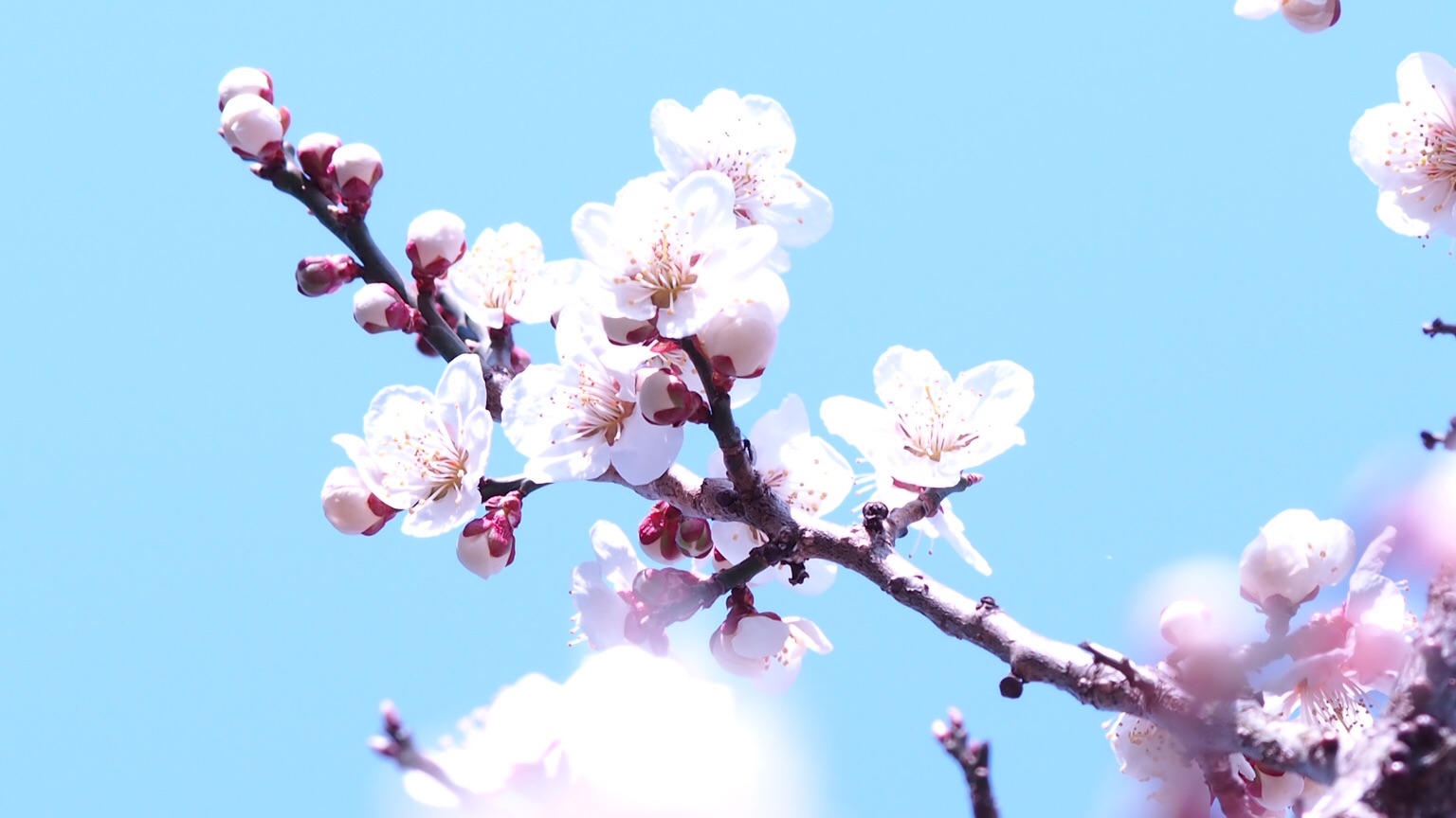 f:id:one00one:20150330164644j:plain