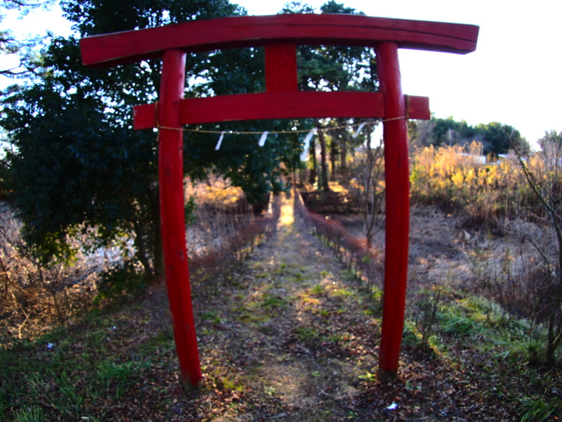 f:id:one00one:20160103154011j:plain