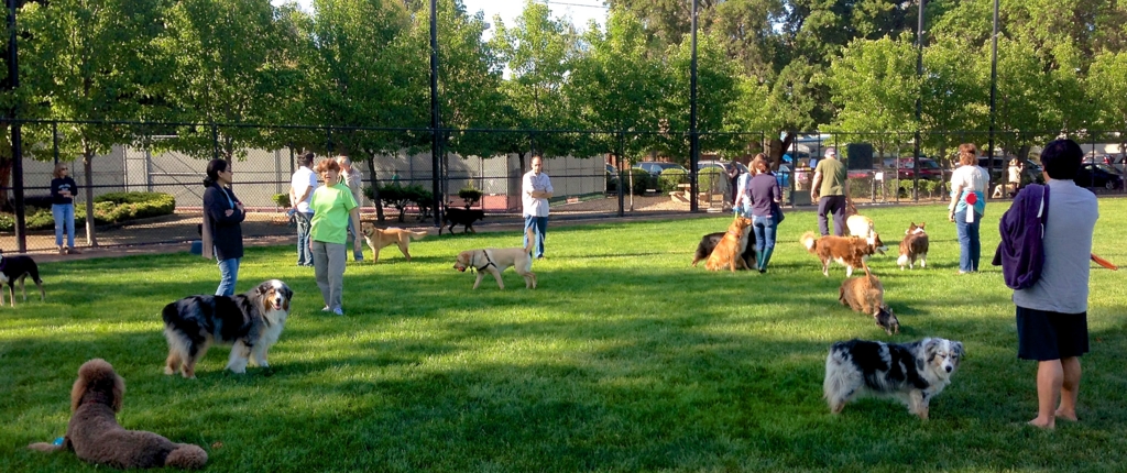 f:id:onedog:20151030210058j:plain f:id:onedog:20151030210058j:plain