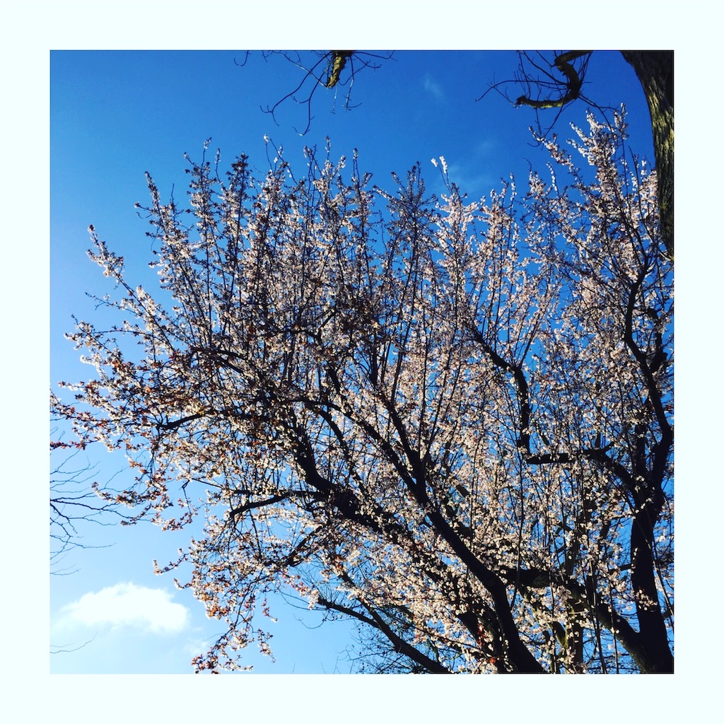 f:id:onemu27:20160305005531j:image f:id:onemu27:20160305005531j:image