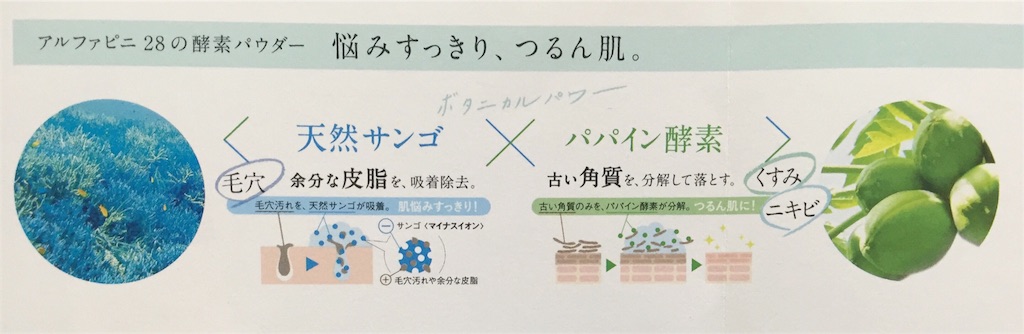 f:id:oninokonoko:20160503012304j:image f:id:oninokonoko:20160503012304j:image