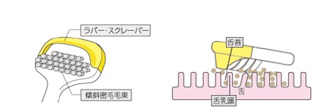 f:id:oninokonoko:20160506005314j:image f:id:oninokonoko:20160506005314j:image