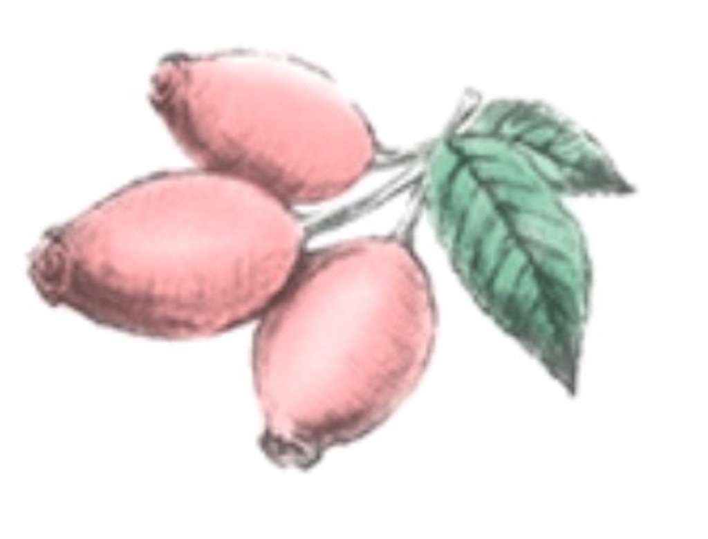 f:id:oninokonoko:20160509233516j:image f:id:oninokonoko:20160509233516j:image