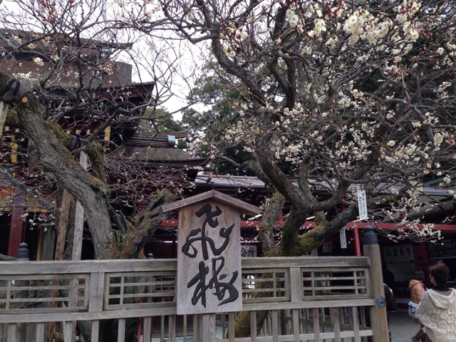f:id:onsha:20150224002943j:plain f:id:onsha:20150224002943j:plain