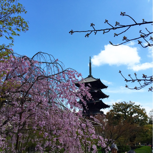 f:id:onsha:20150408222816j:plain f:id:onsha:20150408222816j:plain