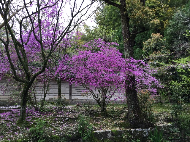 f:id:onsha:20150423085357j:image f:id:onsha:20150423085357j:image