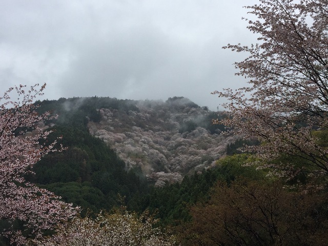 f:id:onsha:20150423090153j:image f:id:onsha:20150423090153j:image