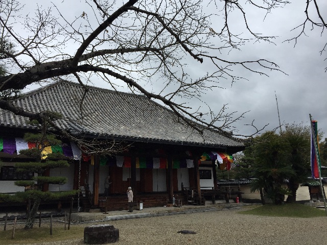 f:id:onsha:20150424094346j:image f:id:onsha:20150424094346j:image