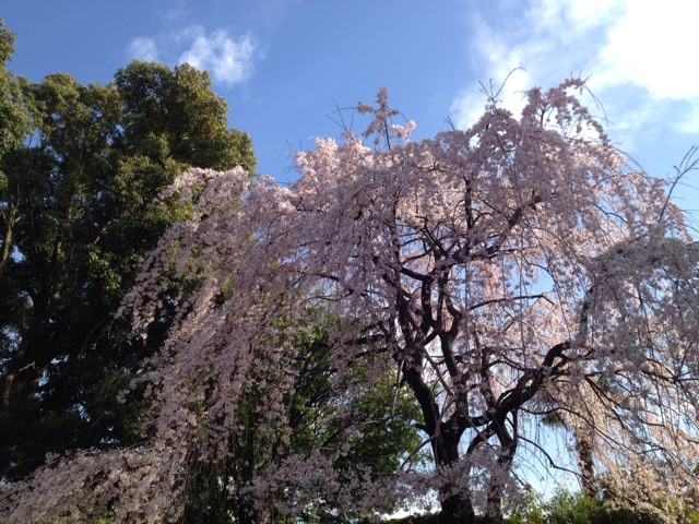 f:id:ooedotaxi:20150330053020j:plain f:id:ooedotaxi:20150330053020j:plain