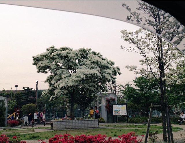 f:id:ooedotaxi:20150504074059j:image f:id:ooedotaxi:20150504074059j:image