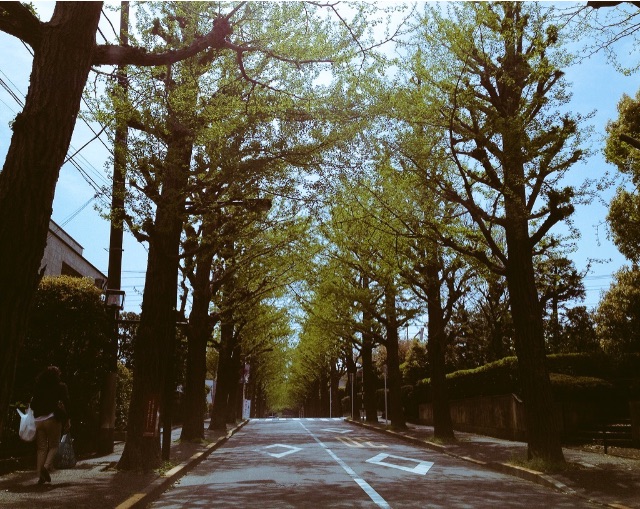 f:id:ooedotaxi:20150504074852j:image f:id:ooedotaxi:20150504074852j:image
