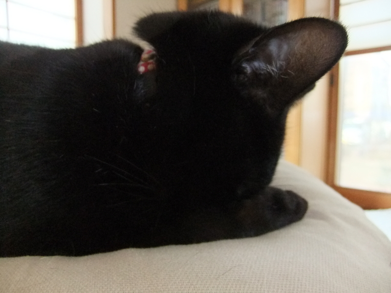f:id:ookun-tie:20140317080429j:plain f:id:ookun-tie:20140317080429j:plain