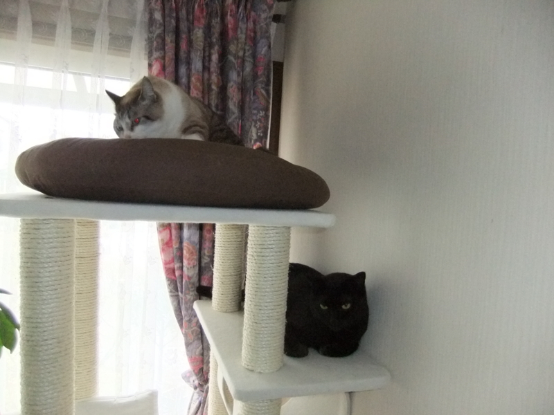f:id:ookun-tie:20140421072043j:plain f:id:ookun-tie:20140421072043j:plain