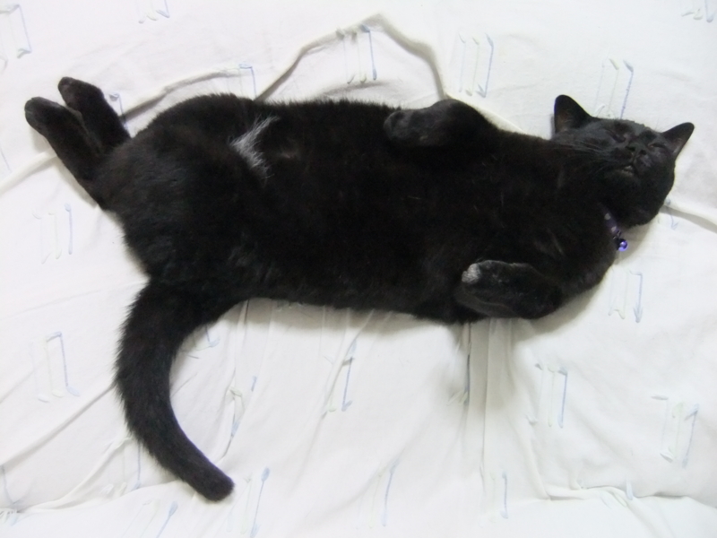 f:id:ookun-tie:20140808064618j:plain f:id:ookun-tie:20140808064618j:plain