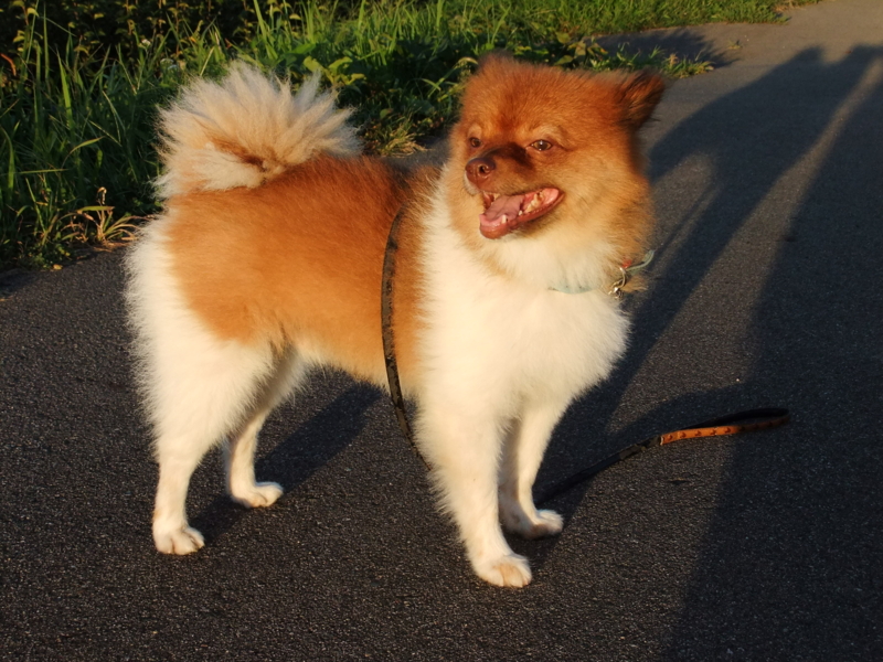 f:id:ookun-tie:20140913173427j:plain f:id:ookun-tie:20140913173427j:plain
