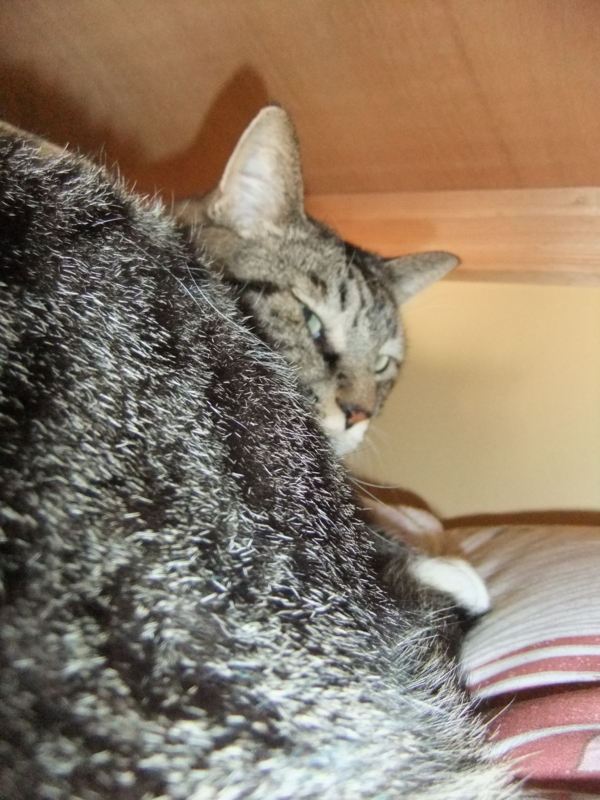 f:id:ookun-tie:20141111113844j:plain f:id:ookun-tie:20141111113844j:plain