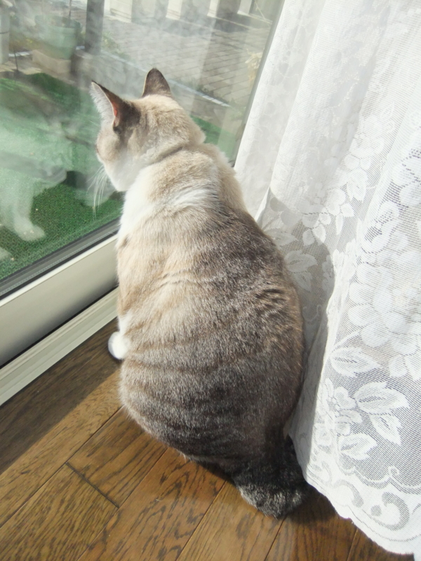f:id:ookun-tie:20141111131718j:plain f:id:ookun-tie:20141111131718j:plain