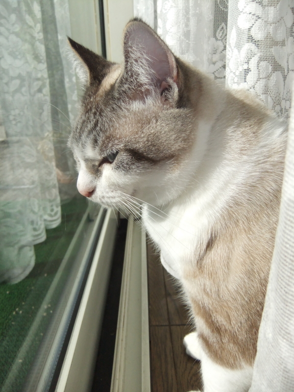 f:id:ookun-tie:20141111131759j:plain f:id:ookun-tie:20141111131759j:plain