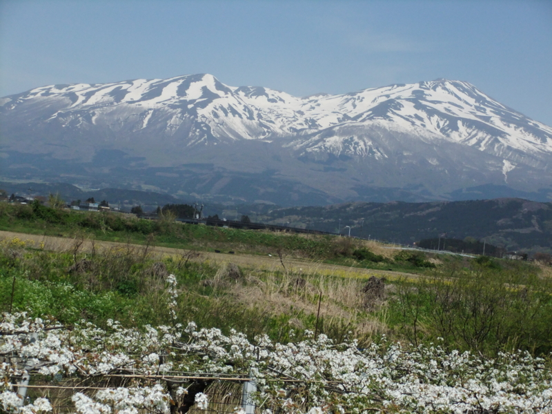 f:id:ookun-tie:20150426120459j:plain f:id:ookun-tie:20150426120459j:plain