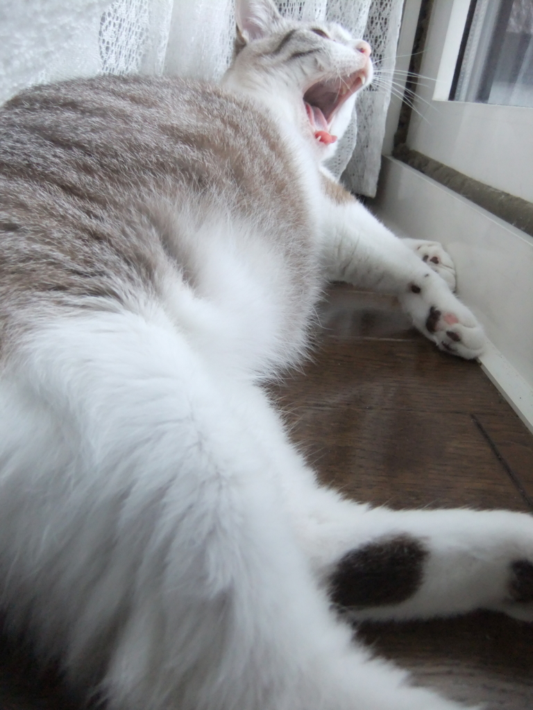 f:id:ookun-tie:20150715104550j:plain f:id:ookun-tie:20150715104550j:plain