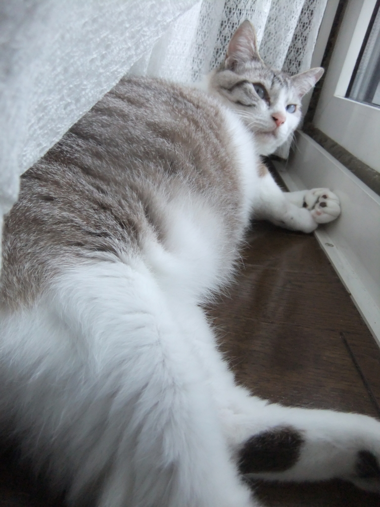 f:id:ookun-tie:20150715104600j:plain f:id:ookun-tie:20150715104600j:plain