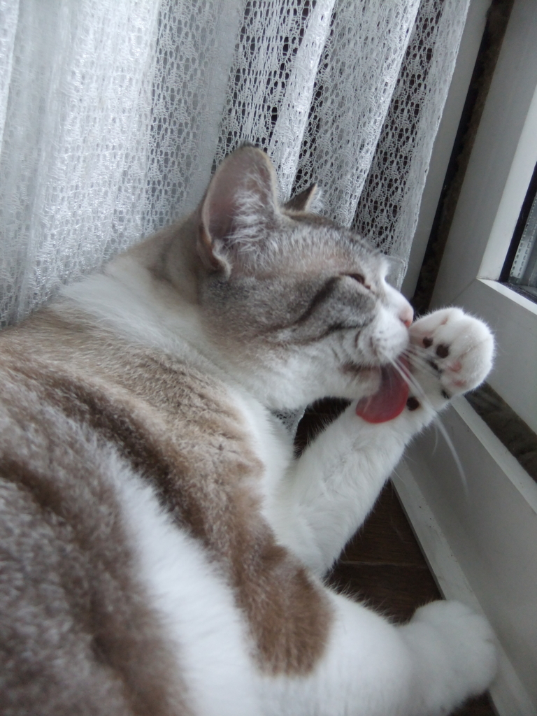 f:id:ookun-tie:20150715104636j:plain f:id:ookun-tie:20150715104636j:plain