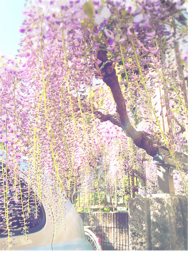 f:id:ootoco87:20160424202220j:image f:id:ootoco87:20160424202220j:image