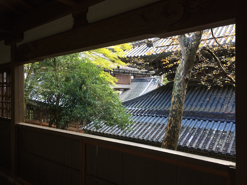 f:id:opuesto:20151110141531j:image:w600 f:id:opuesto:20151110141531j:image:w600