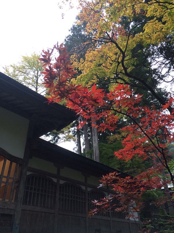 f:id:opuesto:20151110141538j:image:w450 f:id:opuesto:20151110141538j:image:w450