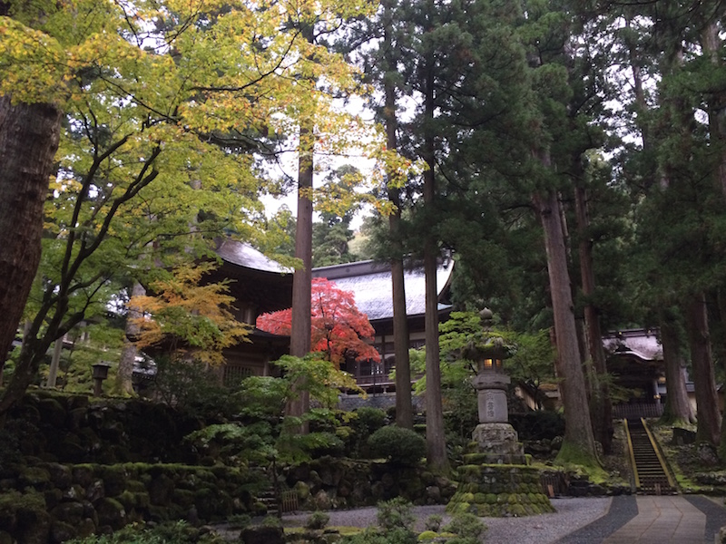 f:id:opuesto:20151110141540j:image:w600 f:id:opuesto:20151110141540j:image:w600