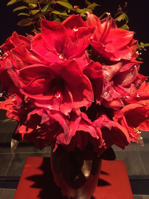 f:id:opuesto:20151110141831j:image:w450 f:id:opuesto:20151110141831j:image:w450