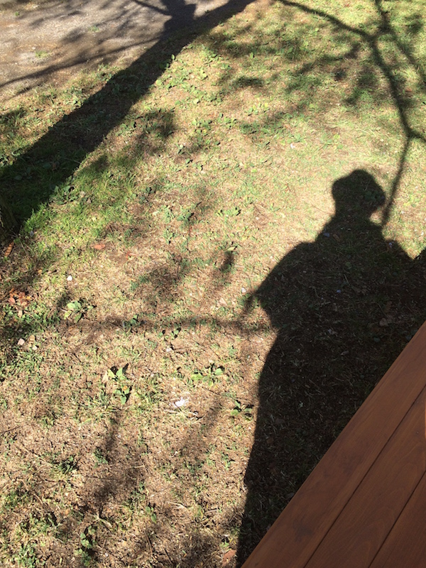 f:id:opuesto:20151110141843j:image:w450 f:id:opuesto:20151110141843j:image:w450