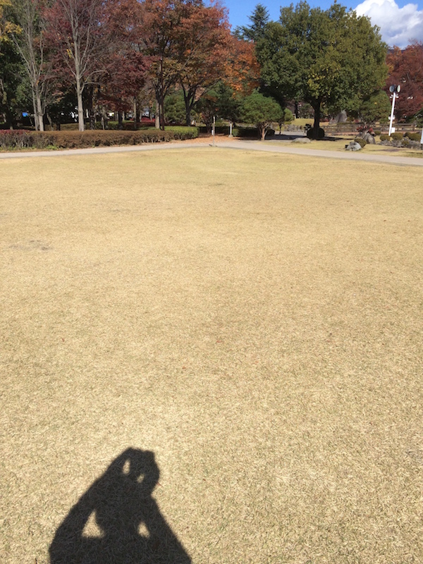 f:id:opuesto:20151110141846j:image:w450 f:id:opuesto:20151110141846j:image:w450
