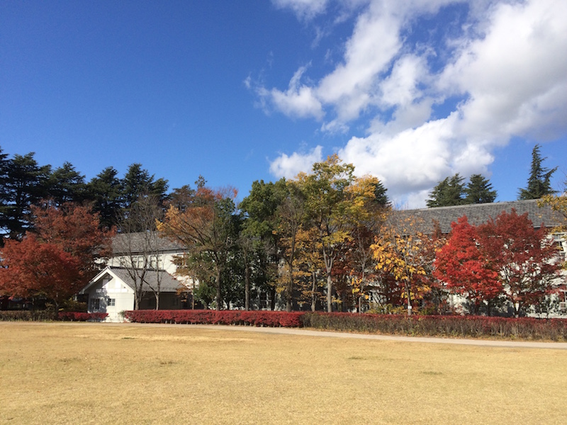 f:id:opuesto:20151110141847j:image:w600 f:id:opuesto:20151110141847j:image:w600