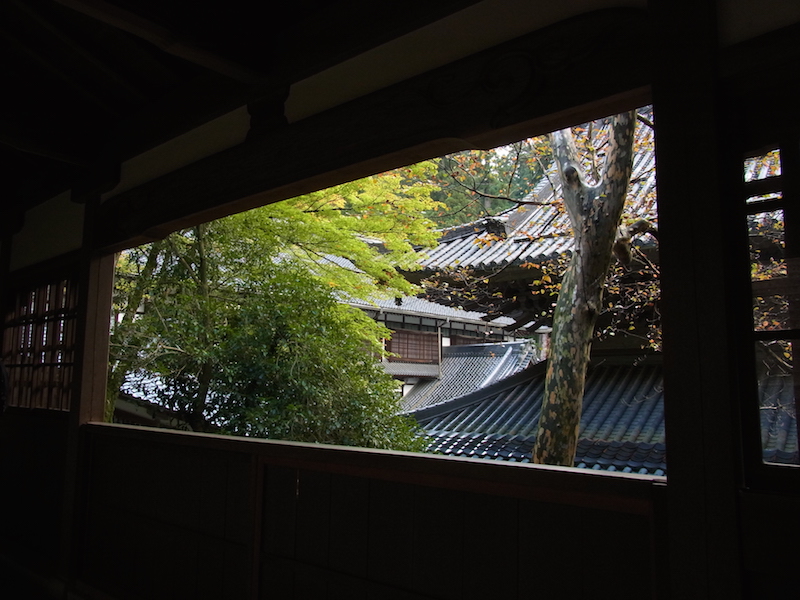 f:id:opuesto:20151110142024j:image:w600 f:id:opuesto:20151110142024j:image:w600