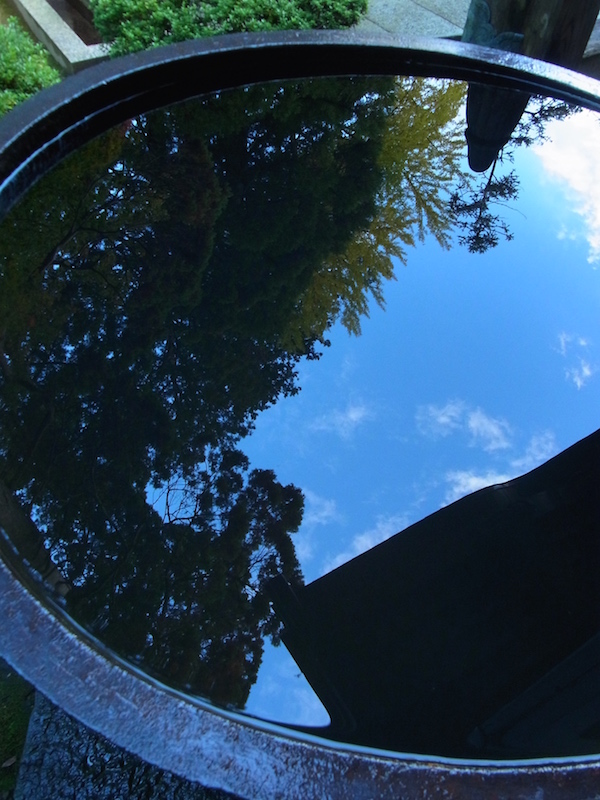 f:id:opuesto:20151110142025j:image:w450 f:id:opuesto:20151110142025j:image:w450