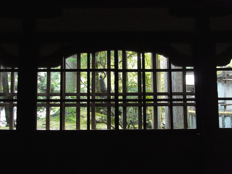 f:id:opuesto:20151110142026j:image:w600 f:id:opuesto:20151110142026j:image:w600