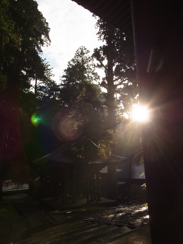 f:id:opuesto:20151110142030j:image:w450 f:id:opuesto:20151110142030j:image:w450