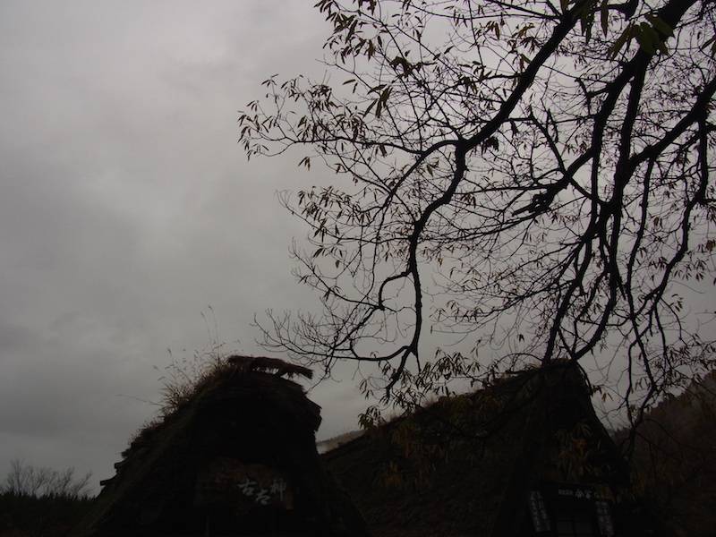 f:id:opuesto:20151110142117j:image:w600 f:id:opuesto:20151110142117j:image:w600