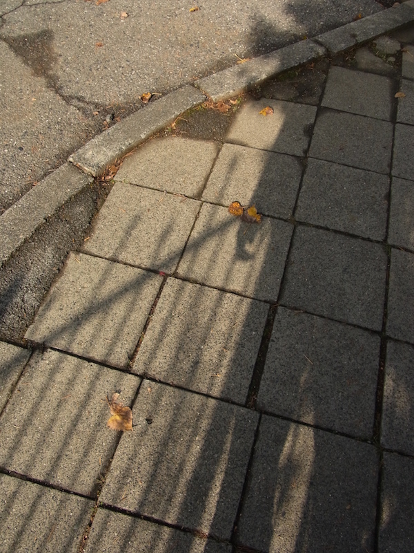 f:id:opuesto:20151110142201j:image:w450 f:id:opuesto:20151110142201j:image:w450