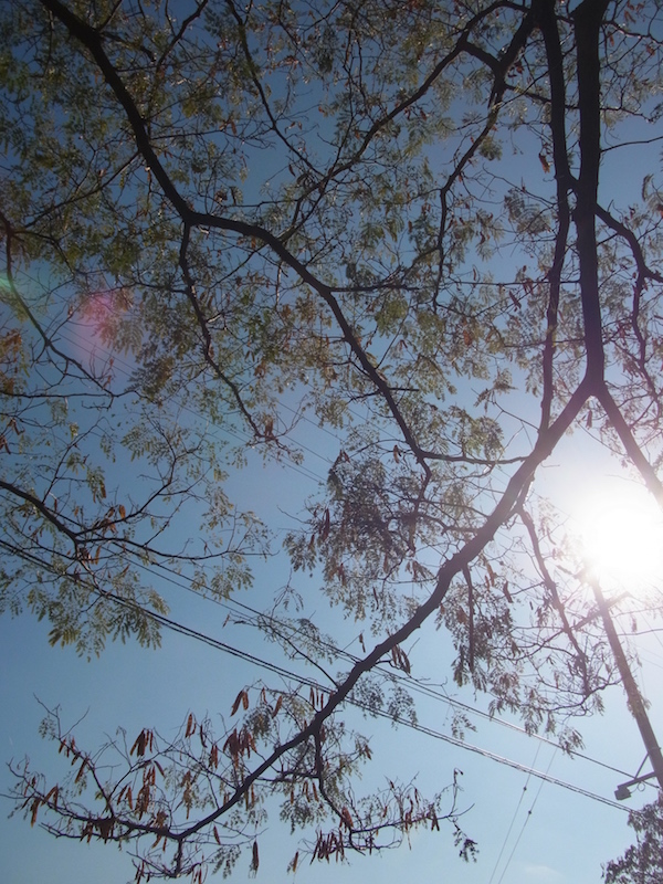 f:id:opuesto:20151110142203j:image:w450 f:id:opuesto:20151110142203j:image:w450