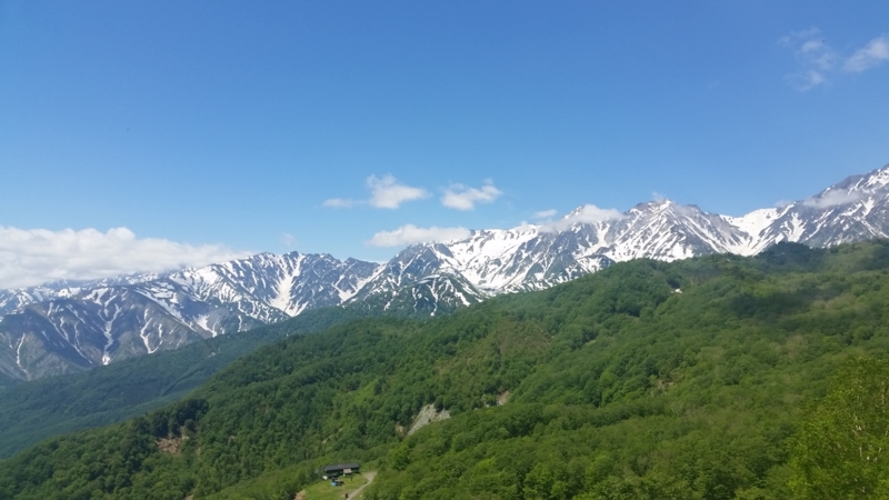 f:id:orangeoveralls:20150607103631j:plain f:id:orangeoveralls:20150607103631j:plain