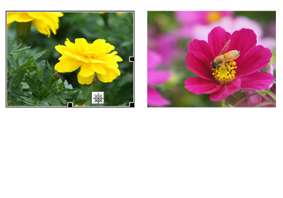 f:id:orewebe:20121114221256j:plain f:id:orewebe:20121114221256j:plain