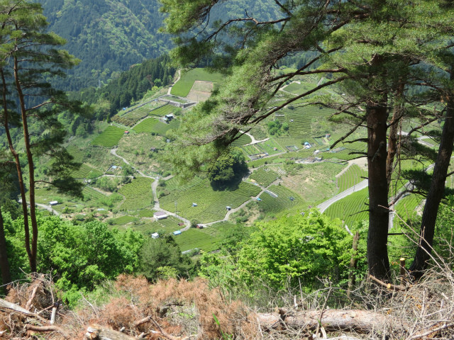 f:id:oryzasativa:20160507172334j:plain:w450 f:id:oryzasativa:20160507172334j:plain:w450