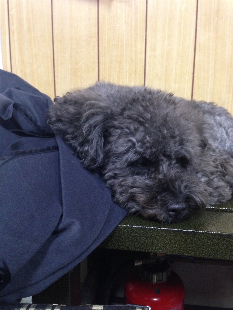 f:id:osakezukideotakunaocchan:20151115152811j:image f:id:osakezukideotakunaocchan:20151115152811j:image