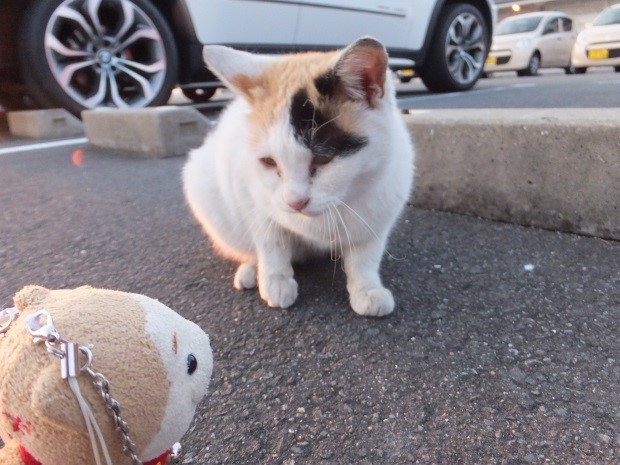 f:id:osanpowanko:20140406173348j:plain f:id:osanpowanko:20140406173348j:plain