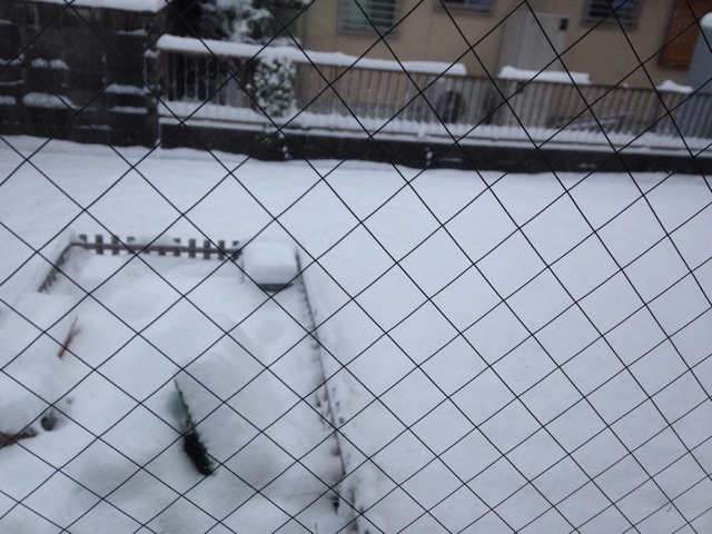 f:id:osenpe:20141219204506j:plain f:id:osenpe:20141219204506j:plain