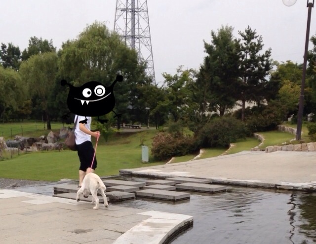 f:id:osenpe:20150907093636j:plain f:id:osenpe:20150907093636j:plain