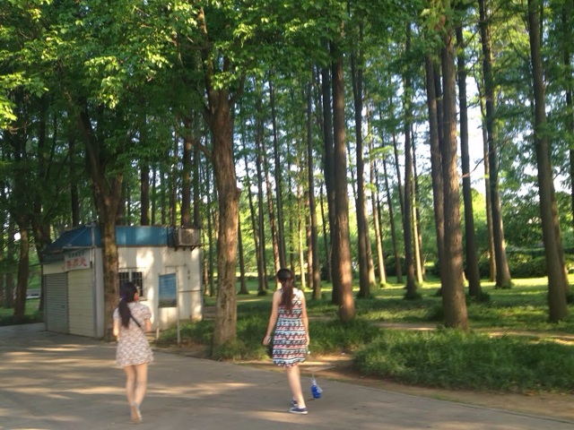 f:id:oshinko_mori:20150422022404j:plain f:id:oshinko_mori:20150422022404j:plain